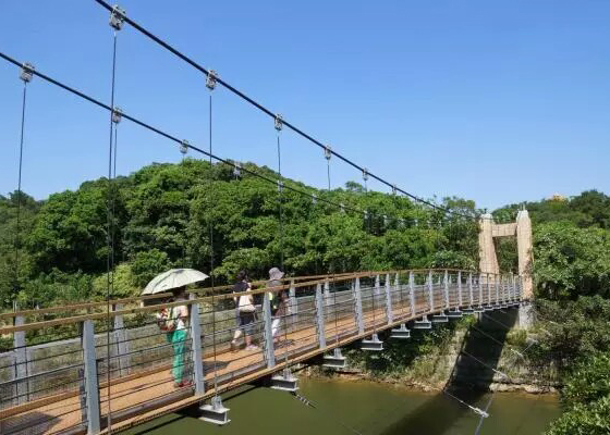 木質(zhì)吊橋