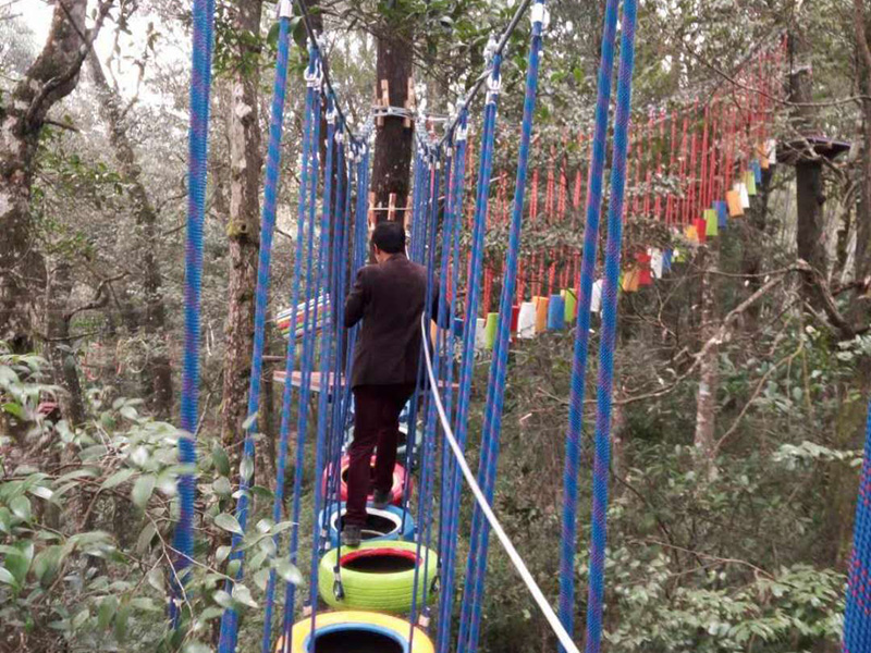 叢林穿越