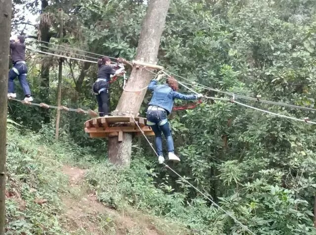 叢林穿越