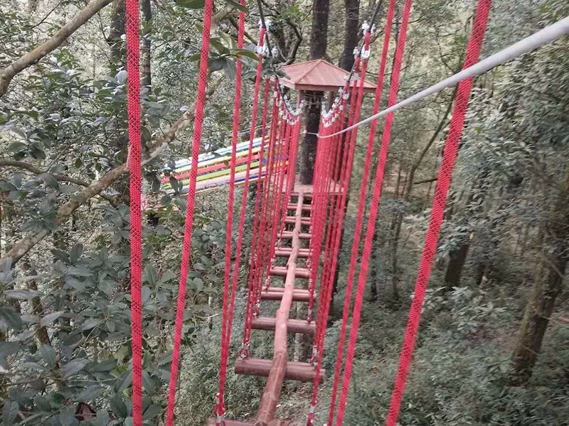 叢林穿越
